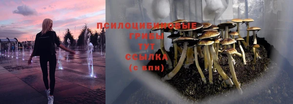 молекула духа Семилуки