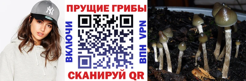 Галлюциногенные грибы прущие грибы Выкса