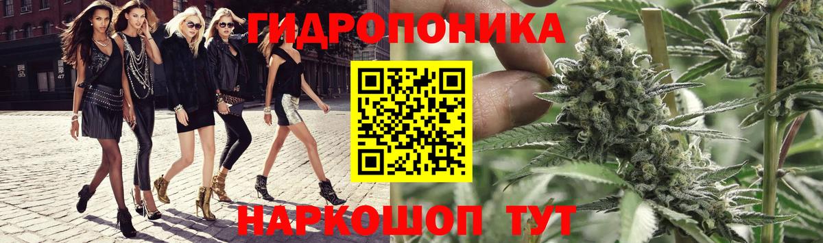 Бошки марихуана Amnesia  МАРИХУАНА White Widow  МАРИХУАНА гибрид  Вход с VPN  Выкса 